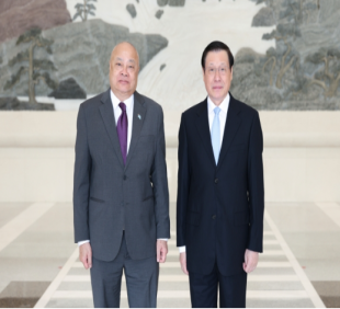 应勇会见斐济总检察长格兰汉姆·梁